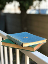 Load image into Gallery viewer, Gold slug earrings, 14k garden slug jewelry