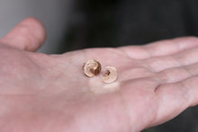 Load image into Gallery viewer, 14k gold moon earrings