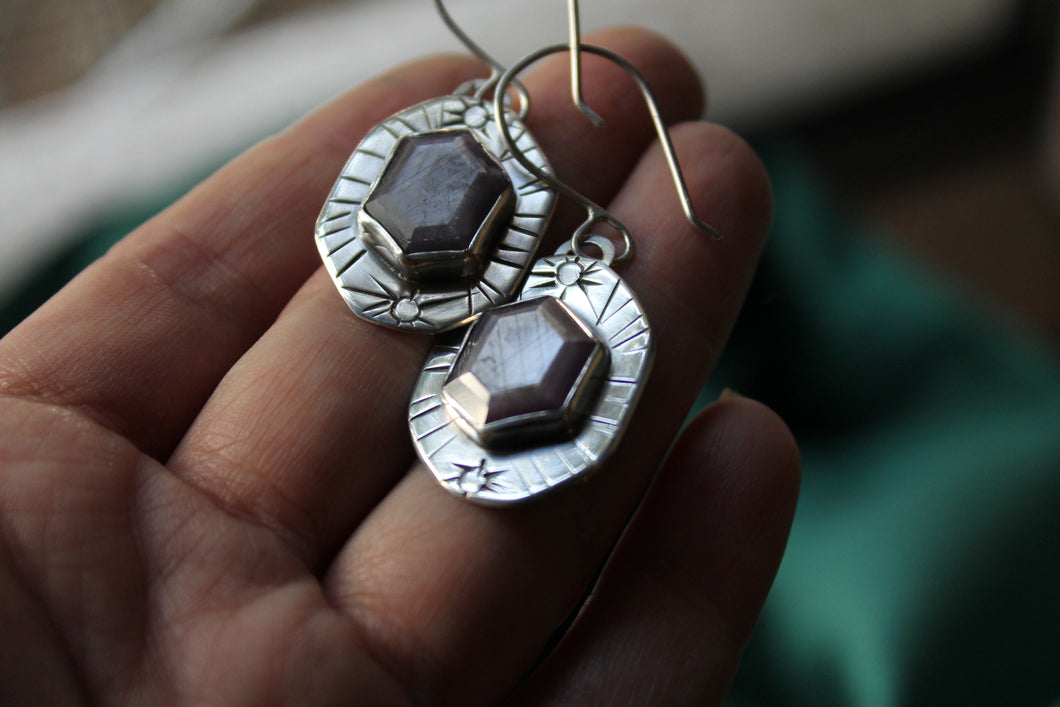 Rustic Ruby Shield Earrings